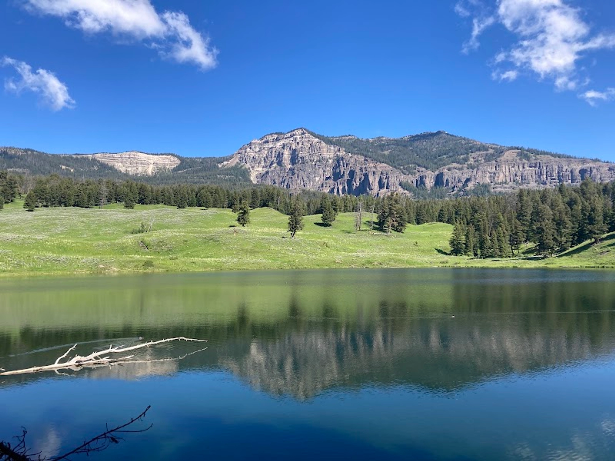 Trout Lake Trail: Hiking Trout Lake in Yellowstone